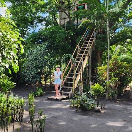 Tanna Volcano View Tree House Lenkuru Ngoại thất bức ảnh