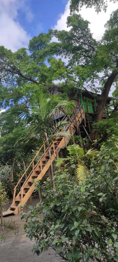 Tanna Volcano View Tree House Lenkuru Ngoại thất bức ảnh