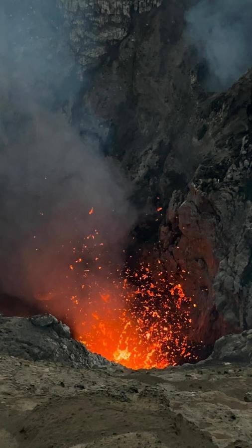 Tanna Volcano View Tree House Lenkuru Ngoại thất bức ảnh