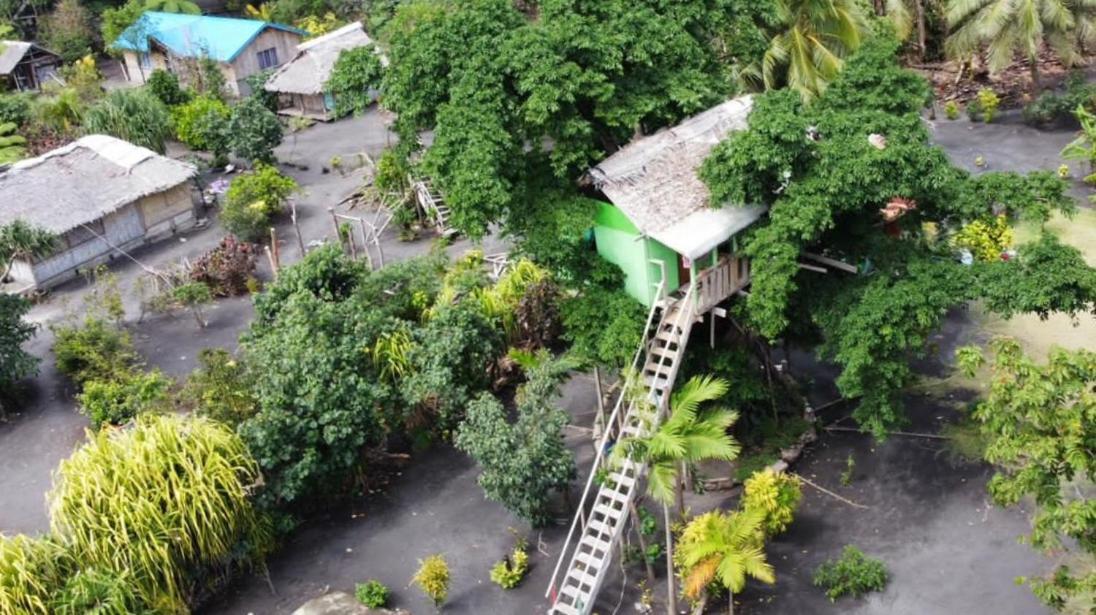 Tanna Volcano View Tree House Lenkuru Phòng bức ảnh